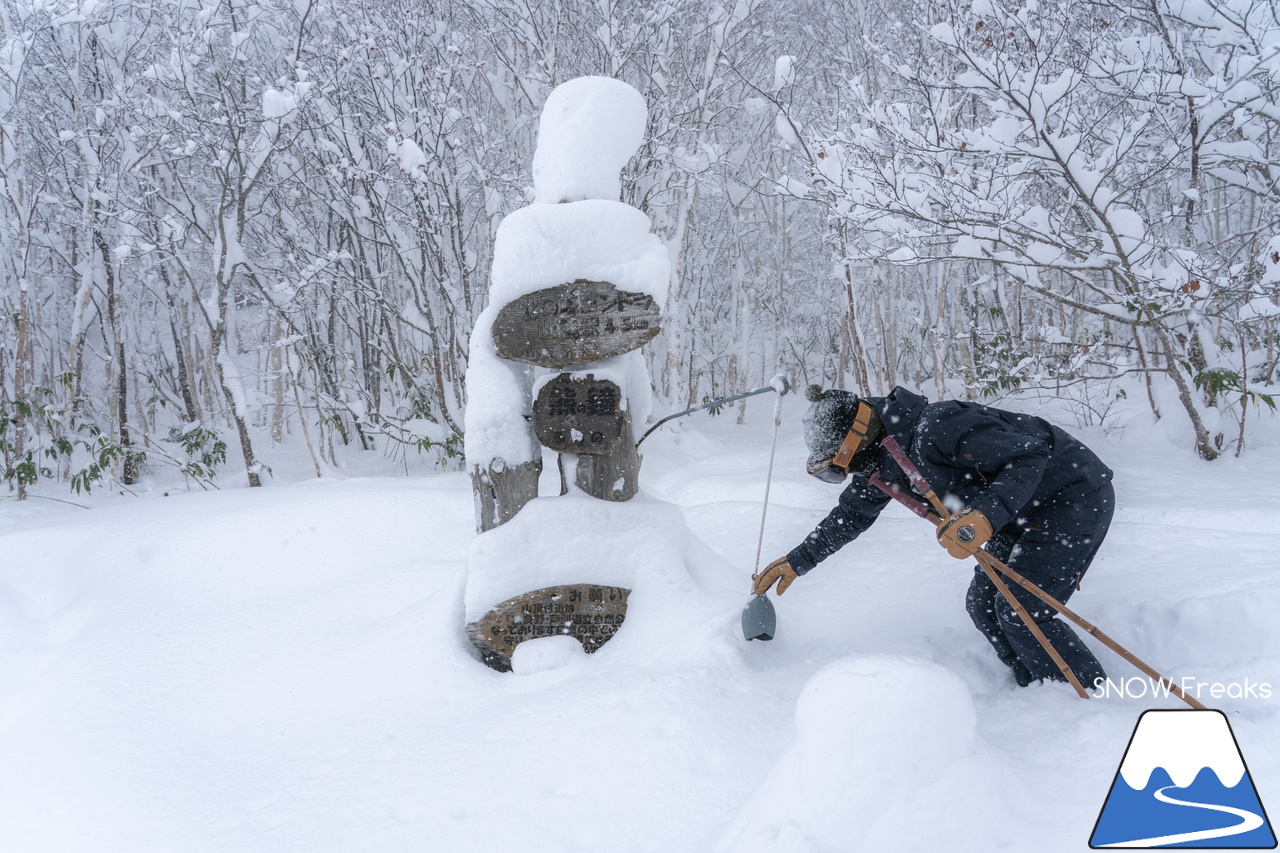 富良野スキー場｜たっぷりの『bonchi powder』が降り積ったゲレンデ…。富良野の雪は、ちょっとレベルが違います♪